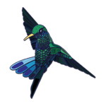 Aztec Hummingbird