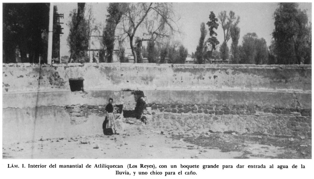 Photo of a woman standing in the Atliliquecan Spring. From The Spring and the Aqueduct of Acuecuexco, by Cesar Lizardi Ramos. 